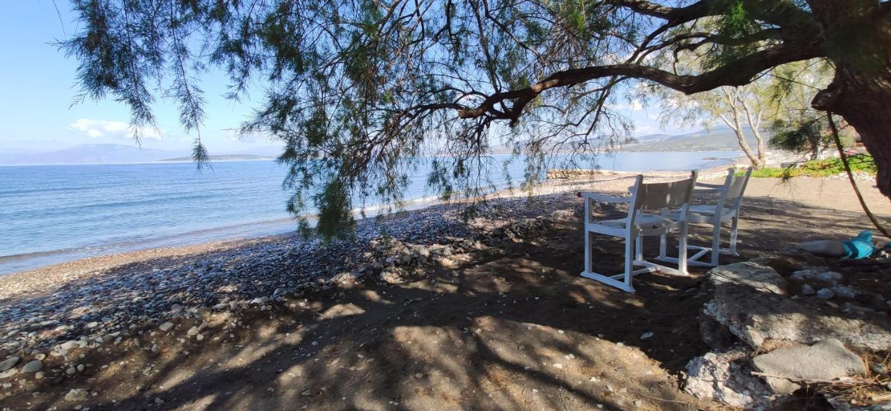 Vikos Beach Apartments Paralia Irion Zewnętrze zdjęcie