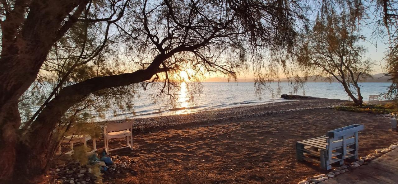 Vikos Beach Apartments Paralia Irion Zewnętrze zdjęcie
