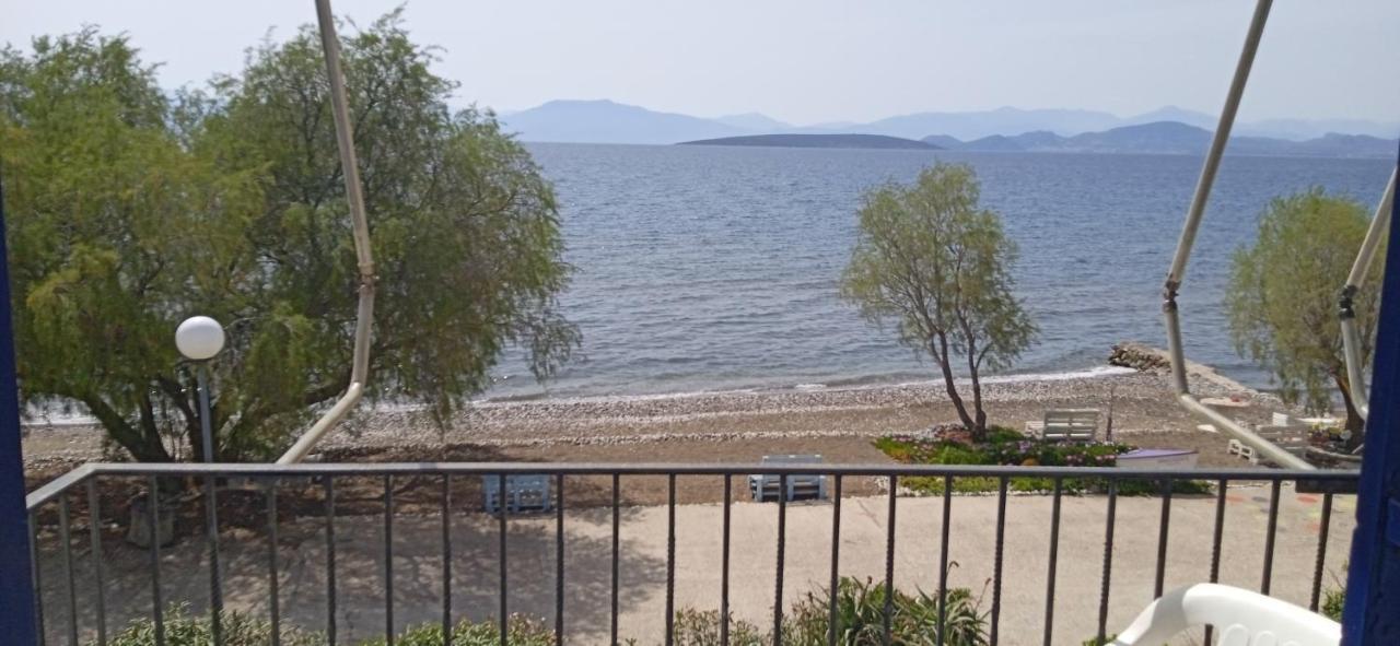 Vikos Beach Apartments Paralia Irion Zewnętrze zdjęcie