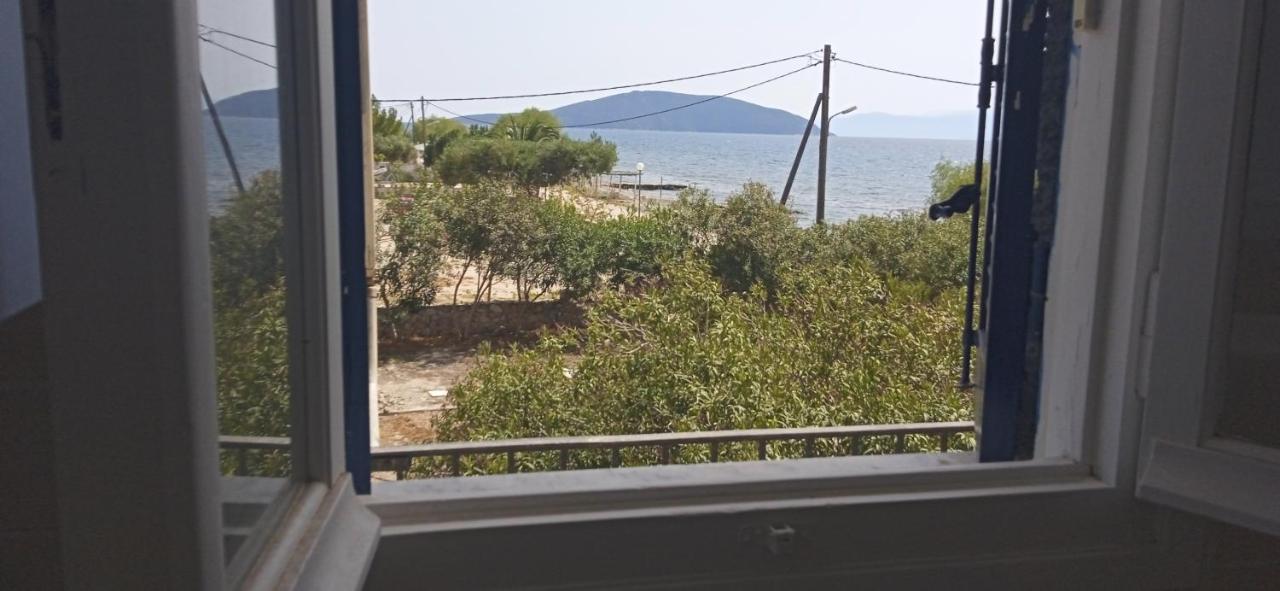 Vikos Beach Apartments Paralia Irion Zewnętrze zdjęcie