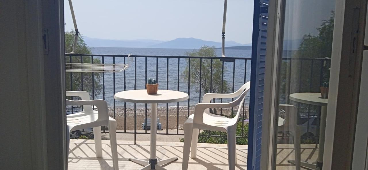 Vikos Beach Apartments Paralia Irion Zewnętrze zdjęcie
