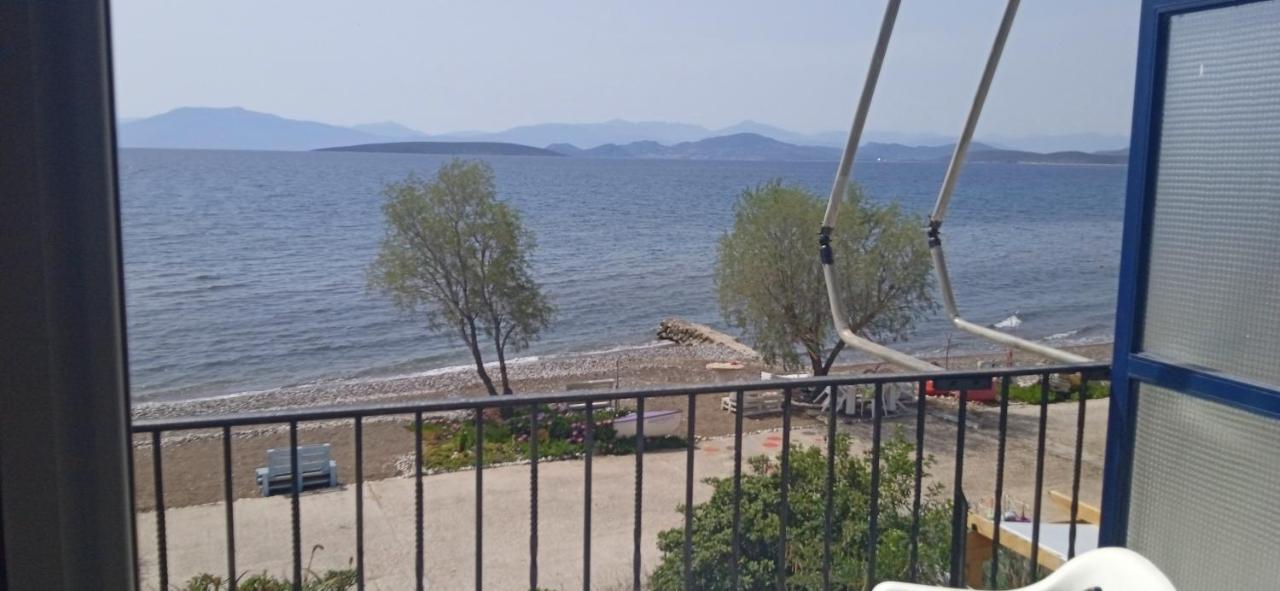 Vikos Beach Apartments Paralia Irion Zewnętrze zdjęcie