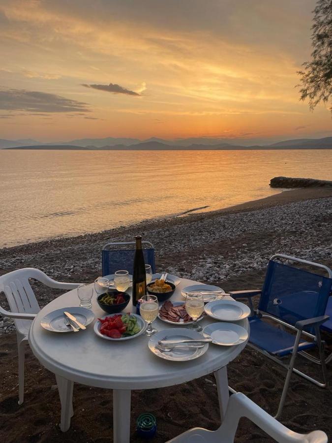 Vikos Beach Apartments Paralia Irion Zewnętrze zdjęcie