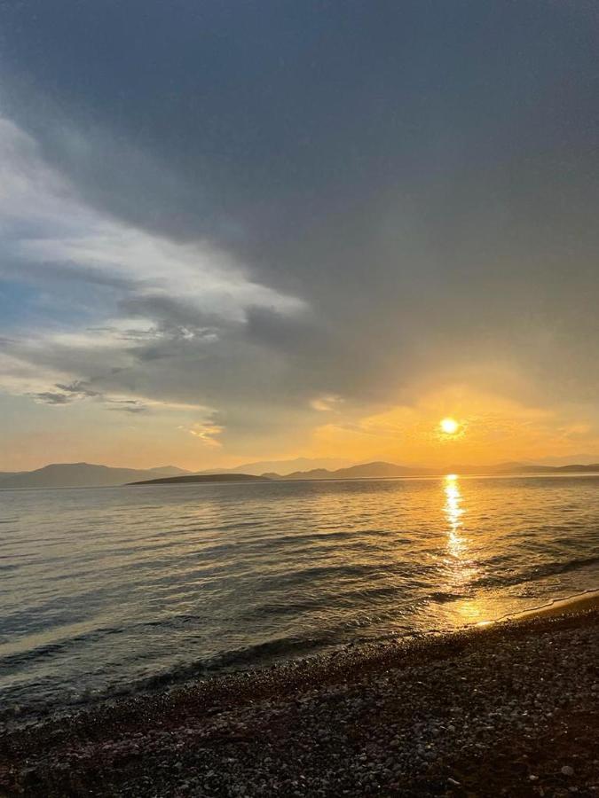 Vikos Beach Apartments Paralia Irion Zewnętrze zdjęcie