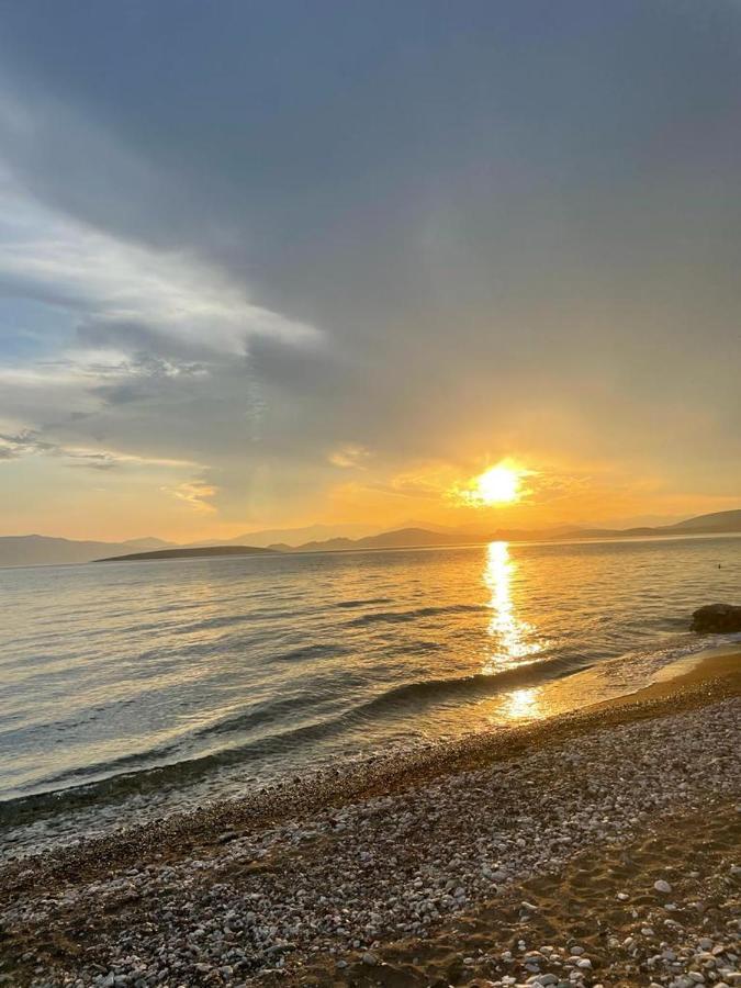 Vikos Beach Apartments Paralia Irion Zewnętrze zdjęcie